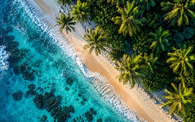 Tropical beach, 4K, aerial view, palm trees, beach, island in the ocean, luxury beach, island from above, summer travel, islands