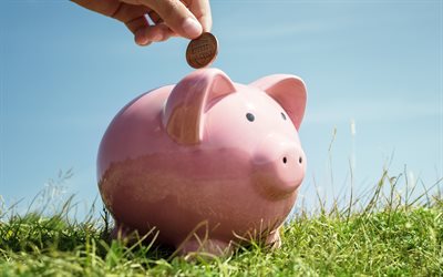 rosa sparschwein, 4k, legt eine münze in ein sparschwein, einzahlung, sparschwein, geld sparen, sparschwein auf gras