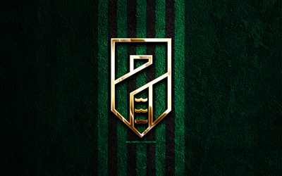 goldenes logo von pordenone fc, 4k, grüner steinhintergrund, serie b, italienischer fußballverein, pordenone fc logo, fußball, pordenone fc emblem, pordenone calcio, pordenon fc