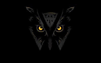 owl at night, owl look, yellow eyes, darkness, owl minimalism, owls, background with owl, black backgrounds