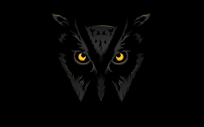 夜のフクロウ, フクロウの表情, 黄色い目, 暗闇, フクロウのミニマリズム, フクロウ, フクロウの背景, 黒の背景