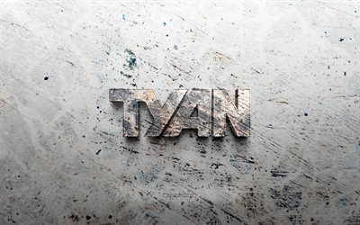 logo de la pierre tyan, 4k, fond de pierre, logo armani 3d, marques, créatif, logo tian, grunge art, tian