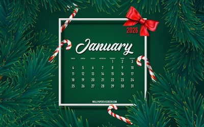 4k, calendario enero 2025, marco de árbol de navidad verde, fondo de arbol verde, 2025 conceptos, enero, ramas de pino verde, calendarios 2025