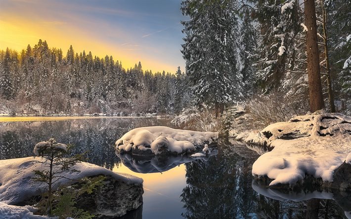 inverno, lago, foresta, pino, tramonto