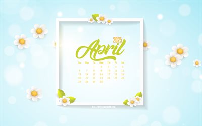 2025 April Calendar, 4k, spring backgrounds, daisies, 2025 concepts, April, background with daisies, April 2025 Calendar