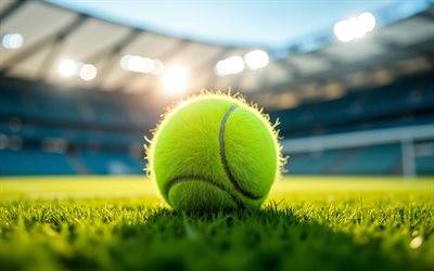 4k, tennis ball, tennis stadium, tennis, macro, grass tennis court, bokeh, tennis concepts, tennis net, tennis ball backgrounds, tennis court