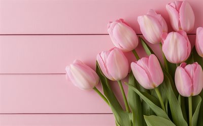 tulipani rosa, texture in legno rosa, bouquet tulipano, fiori primaverili, background tulipano, 8 marzo, bouquet di tulipani rosa, primavera, tulipani