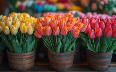 bouquet de tulipes jaunes, fleurs de printemps, bouquet de tulipes violettes, bouquet de tulipes roses, tulipes, 8 mars, tulipes jaunes, tulipes roses