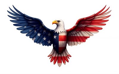 águia careca, bandeira dos eua, 4k, fundo branco, águia pintada na bandeira americana, aves de rapina, símbolo da bandeira americana dos eua, predador, eua