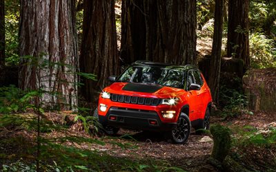 Jeep Compass, 2017, SUV, roja de la Brújula, el bosque, los coches Americanos, Jeep