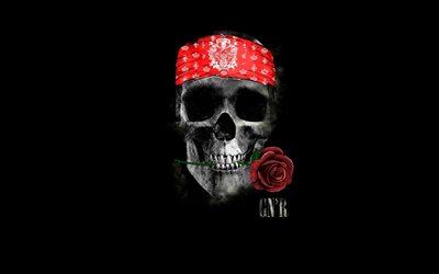 Guns N Roses, logo, hard rock band, art