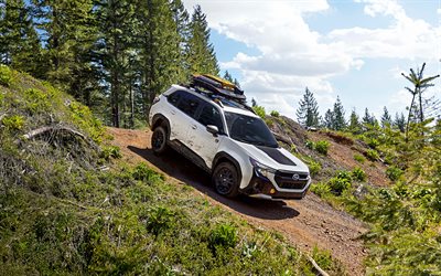 subaru forester desierto, 4k, fuera de la carretera, 2026 coches, bosque, especificaciones de ee uu, extremo, suv, 2026 subaru forester, autos japoneses, subaru forester, subaru