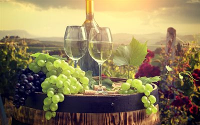 vinho branco, copo de vinho, barril de vinho, colheita, outono, uvas
