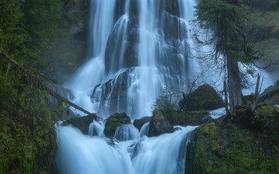 Kaya, şelale, nehir, akşam, Columbia River Creek Falls, Fall Creek Falls State Park, Tennessee, USA Düşüyor