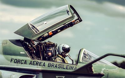 northrop f 5, caza ligero supersónico brasileño, fuerza aérea brasileña, northrop f 5em tigre ii, fuerzas armadas de brasil, aviación de combate brasileña