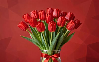 زهور التوليب الحمراء, 4k, تقليلية, عن قرب, مزهرية زجاجية, خلفية حمراء, زهور الربيع, باقة من زهور التوليب, زهور جميلة, القوس الأحمر, ربيع, الخلفية مع زهور التوليب, زهور حمراء, زهور التوليب