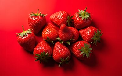 fresas sobre un fondo rojo, 4k, fresas, fresas rojas maduras, frutas saludables, fresas premium, frutos rojos
