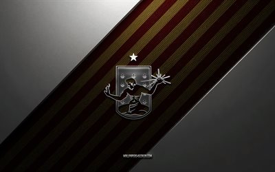 detroit city fc  logo, 4k, teräs tausta, amerikkalainen jalkapalloseura, punaisia ​​keltaisia ​​viivoja, detroit city fc  tunnus, usl, jalkapalloilija, detroit city fc, usa, detroit city fc metallilogo, detroit city fc:n vaakuna