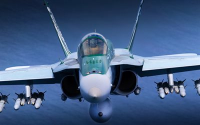 McDonnell Douglas FA-18 Hornet, 4k, flying fighters, US Air Force, fighter-bombers, FA-18, combat aircraft, turbines, US army, aircraft, military aviation, FA-18 Hornet, McDonnell Douglas