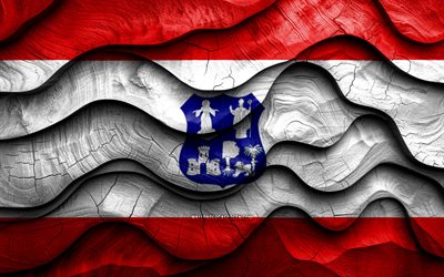4k, bandera capital de distritos, departamentos de paraguay, banderas de ondas 3d de madera, día de capital de distrito, bandera de capital de distrito, capital de distrito, departamentos paraguayo, departamento de capital de distrito