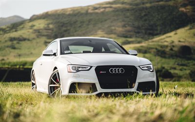 Audi RS5, meadow, supercars, white RS5, Audi