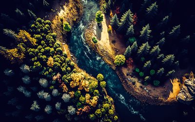 mountain river, top view, aerial view, forest, trees, river from above, evening, sunset, 3d forest
