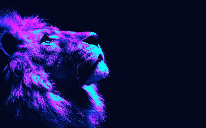 abstrakt lejon, 4k, minimalism, cyberpunk, djurens kung, abstrakta djur, lejon minimalism, vilda djur, rovdjur, lejon, panthera leo, bild med lejon, kreativ, lion cyberpunk