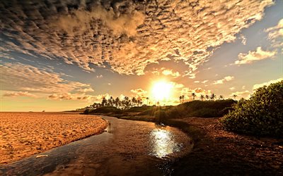 ocean coast, beach, sunset, river, palm trees, sand