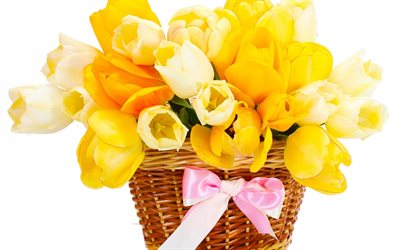 flores amarelas, buquê de flores, tulipas, tulipas amarelas, primavera