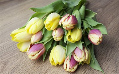 buquê de tulipas, tulipas, primavera, tulipas amarelas, tulipas cor de rosa