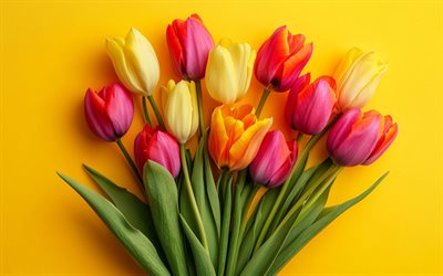 tulpen auf gelber hintergrund, tulpsstrauß, frühlingsblumen, gelbe rote tulpen, frühlingsstrauß, tulpen, hintergrund mit tulpen, frühling