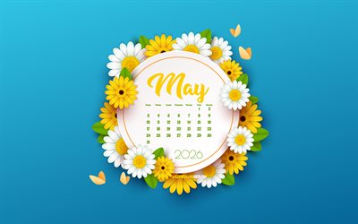 4k, calendario maggio 2026, modello di primavera blu, calendario di maggio 2026, sfondo blu con fiori gialli bianchi, maggio, calendario primavera 2026, concetti del 2026