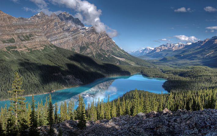banff national park, kesä, peyto lake, vuoret, metsä, alberta, kanada