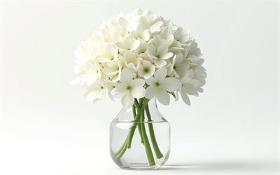 4k, bouquet di ortensia bianca, sfondo bianco, ortensia bianca, fiori 3d, 3d hydrancea, bouquet hydrancea, fiori bianchi, ortensia, sfondo con ortensia bianca, 3d white hydrangea