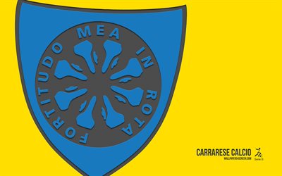 carrarese calcio 로고, 4k, 노란색 배경, 탄소 예술, carrarese calcio emblem, 이탈리아 축구 클럽, 세리에 b, 이탈리아, carrarese calcio, 축구, carrarese