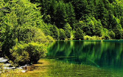 lake, forest, clean water, green trees, Jiuzhaigou National Park, China