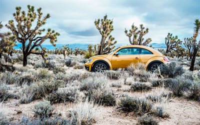 Volkswagen Beetle Dune, cactuses, 2016, offroad, desert, yellow Beetle