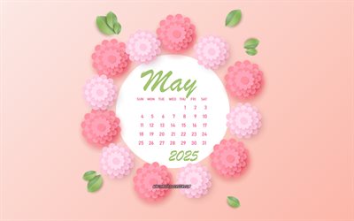 2025 mai calendrier, fond de printemps rose, calendrier 2025, peut, fleurs roses 3d, mai 2025 calendrier, calendriers du printemps 2025