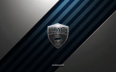 Le Havre AC logo, 4k, steel background, French football club, blue lines, Le Havre AC emblem, Ligue 1, Le Havre AC, France, football, Le Havre AC metal logo, Le Havre AC crest