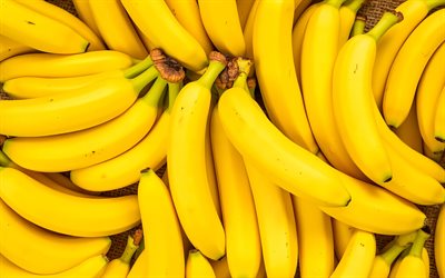 4k, plátanos, de cerca, frutas maduras, racimos de plátanos, frutas exóticas, frutas frescas, foto con plátanos, frutas, plátanos maduros