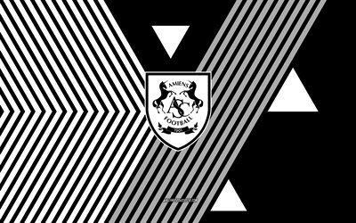 Amiens SC logo, 4k, French football team, black white lines background, Amiens SC, Ligue 2, France, line art, Amiens SC emblem, football