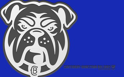 Canterbury-Bankstown Bulldogs logo, 4k, blue background, carbon art, NRL, Canterbury-Bankstown Bulldogs emblem, Australian rugby team, Australia, Canterbury-Bankstown Bulldogs, rugby
