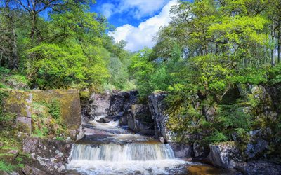 Trossachs राष्ट्रीय पार्क, झरने, वन, गर्मी, स्कॉटलैंड