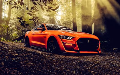 4k, ford mustang gt, offroad, 2022 autos, wald, muskelautos, lowrider, orangefarbener ford mustang, 2022 ford mustang gt, amerikanische autos, hdr, ford