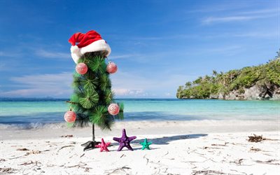 क्रिसमस पेड़, समुद्र तट, नया साल, समुद्र, उष्णकटिबंधीय द्वीप समूह