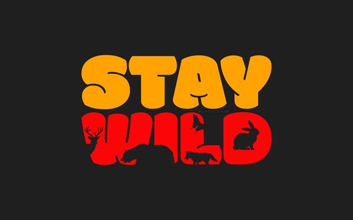 Stay Wild, 4k, gray backgrounds, grunge art, motivation, creative, motivational quotes, minimalism, inspirational quotes, inspiration, Stay Wild quote