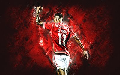 Angel Di Maria, Benfica, Argentine football player, red stone background, football, Portugal, Benfica SL