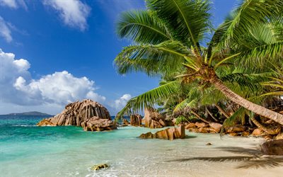 seychelles  saaret, palmuja, trooppiset saaret, rannikko, paratiisi, valtameri, kesämatka