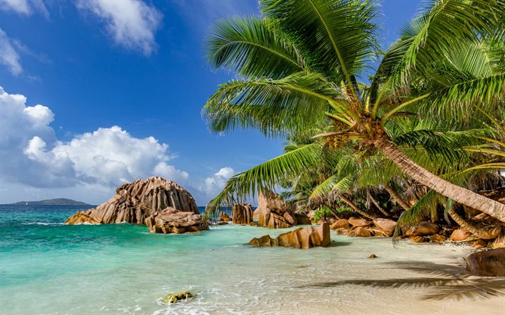 seychellerna öar, palmer, tropiska öar, kust, paradis, hav, sommarresor