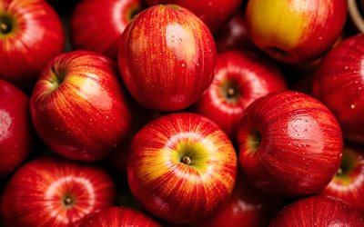 4k, manzanas rojas, gotas de agua, frutas frescas, bokeh, de cerca, rocío, frutas maduras, manzanas maduras, fondo con manzanas, frutas, manzanas